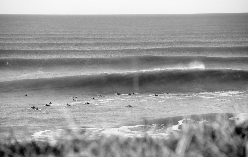 Quiksilver La Paloma 2025: un clásico con nuevo vuelo